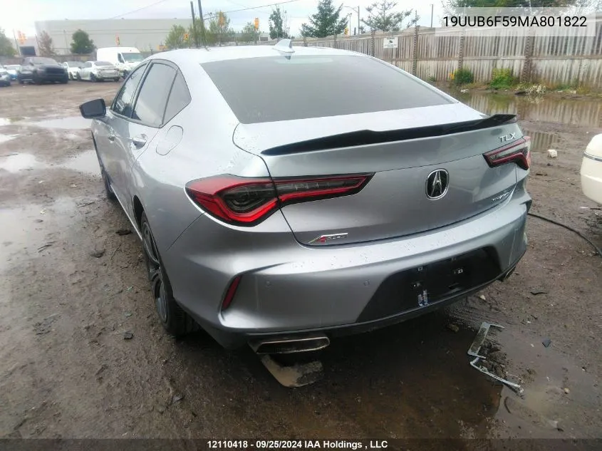 2021 Acura Tlx VIN: 19UUB6F59MA801822 Lot: 12110418