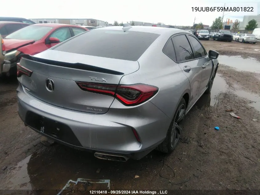 2021 Acura Tlx VIN: 19UUB6F59MA801822 Lot: 12110418