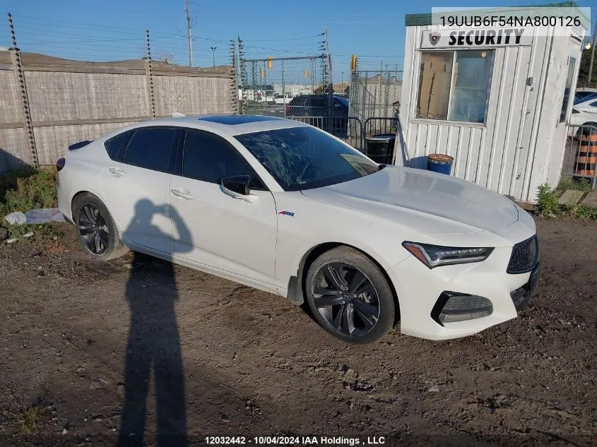 2022 Acura Tlx VIN: 19UUB6F54NA800126 Lot: 12032442