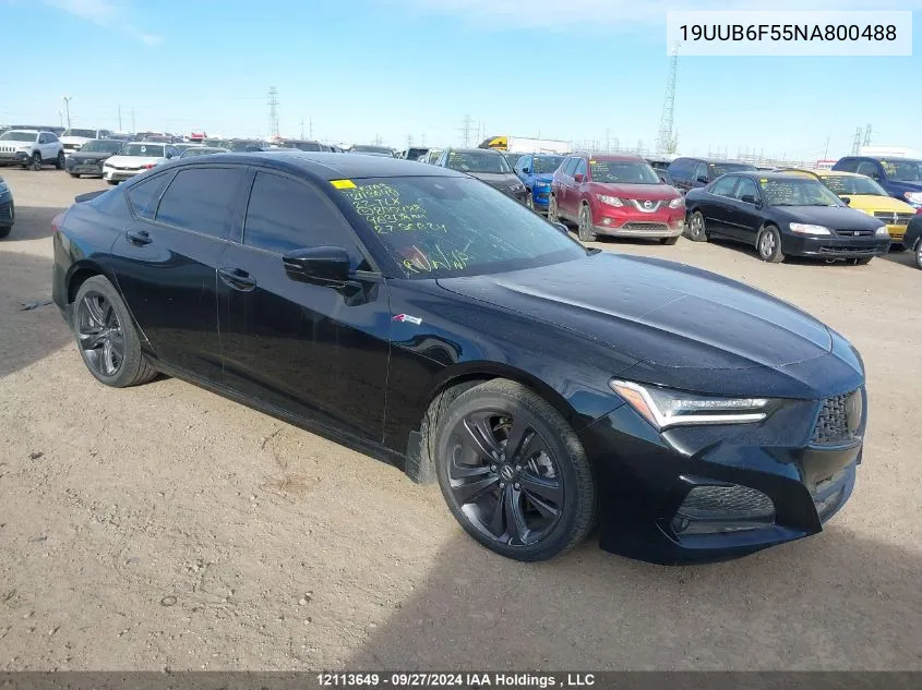 2022 Acura Tlx VIN: 19UUB6F55NA800488 Lot: 12113649