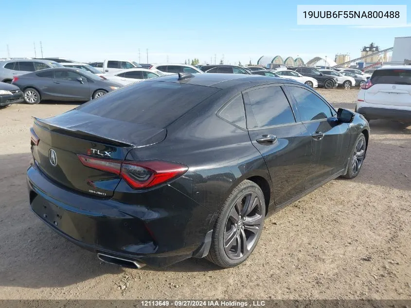 2022 Acura Tlx VIN: 19UUB6F55NA800488 Lot: 12113649