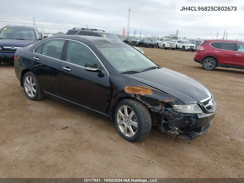 2005 Acura Tsx VIN: JH4CL96825C802673 Lot: 12117631