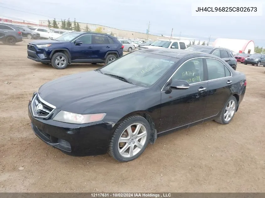 2005 Acura Tsx VIN: JH4CL96825C802673 Lot: 12117631