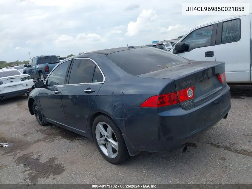 2005 Acura Tsx VIN: JH4CL96985C021858 Lot: 40179702