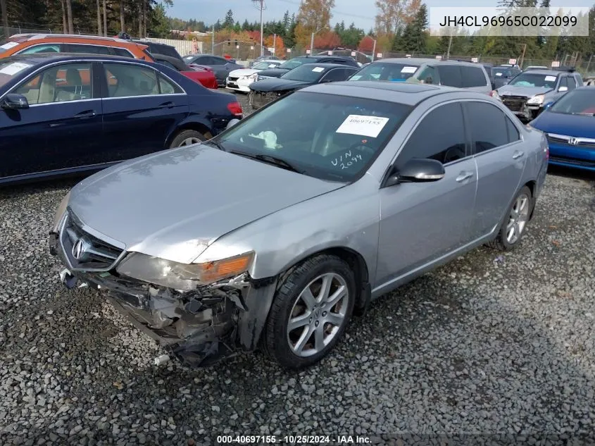 2005 Acura Tsx VIN: JH4CL96965C022099 Lot: 40697155