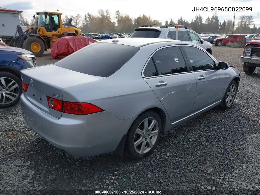 2005 Acura Tsx VIN: JH4CL96965C022099 Lot: 40697155