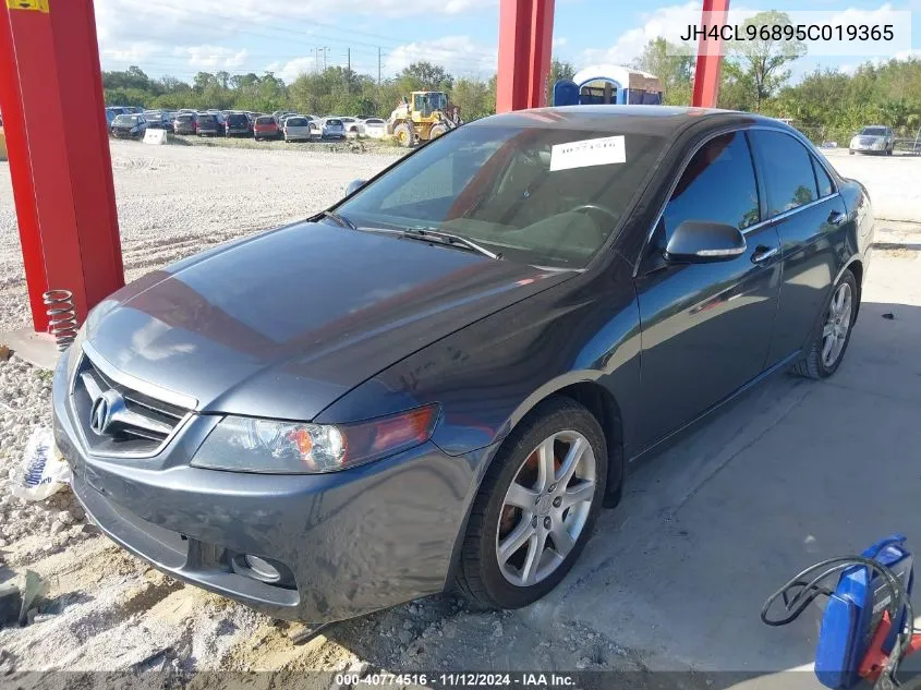 2005 Acura Tsx VIN: JH4CL96895C019365 Lot: 40774516