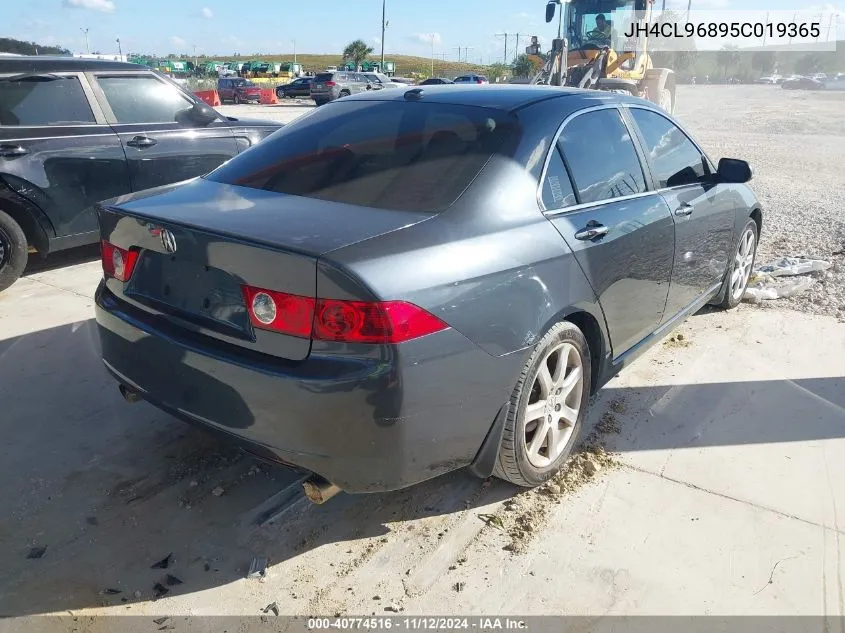 2005 Acura Tsx VIN: JH4CL96895C019365 Lot: 40774516