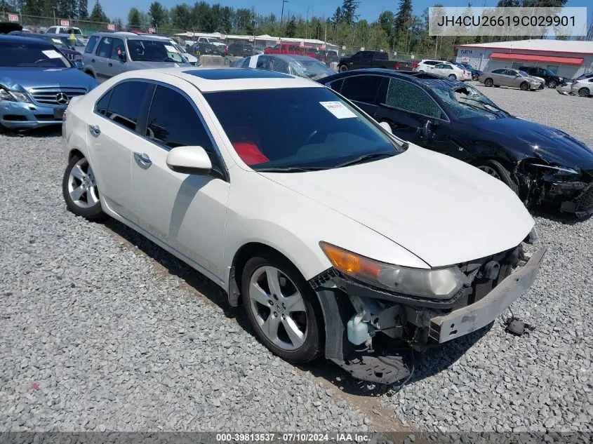 2009 Acura Tsx VIN: JH4CU26619C029901 Lot: 39813537