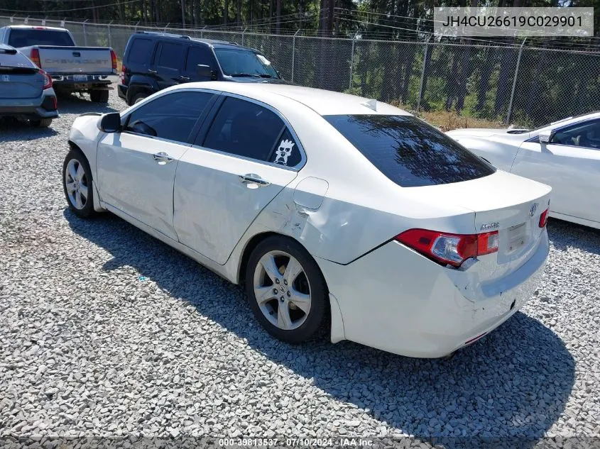 2009 Acura Tsx VIN: JH4CU26619C029901 Lot: 39813537