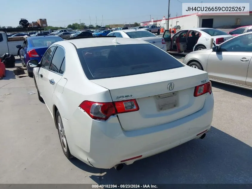 2009 Acura Tsx VIN: JH4CU26659C025267 Lot: 40182394