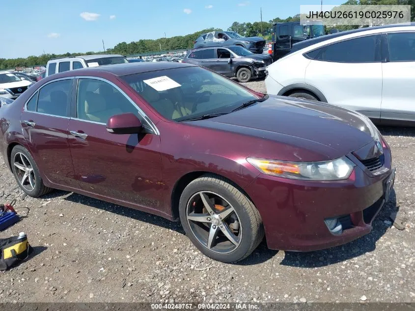 2009 Acura Tsx VIN: JH4CU26619C025976 Lot: 40248757