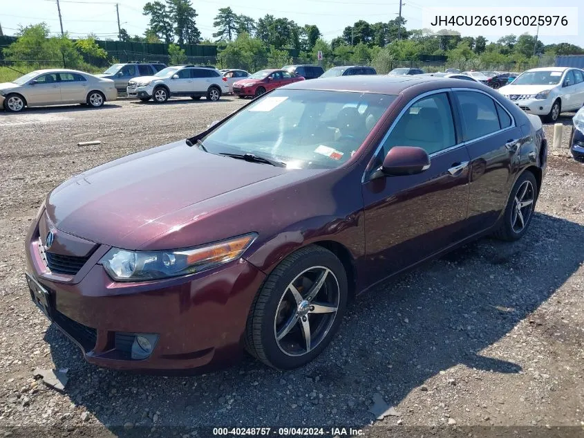 2009 Acura Tsx VIN: JH4CU26619C025976 Lot: 40248757