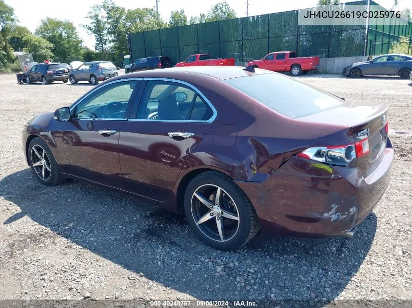 2009 Acura Tsx VIN: JH4CU26619C025976 Lot: 40248757