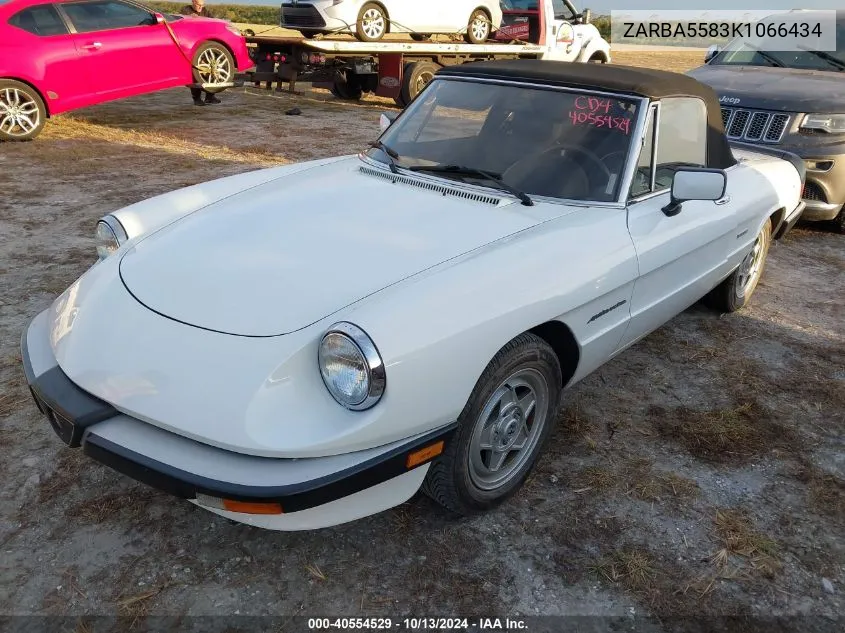 1989 Alfa Romeo Spider Veloce VIN: ZARBA5583K1066434 Lot: 40554529