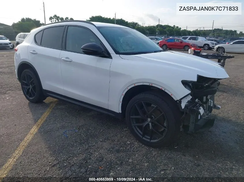 2019 Alfa Romeo Stelvio VIN: ZASPAJAN0K7C71833 Lot: 40553959