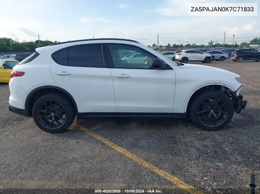 2019 Alfa Romeo Stelvio VIN: ZASPAJAN0K7C71833 Lot: 40553959