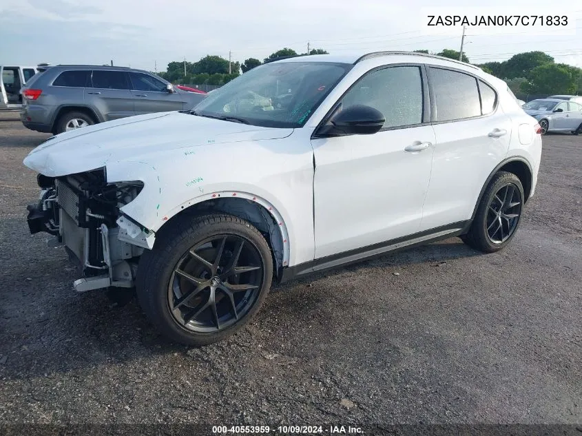 2019 Alfa Romeo Stelvio VIN: ZASPAJAN0K7C71833 Lot: 40553959