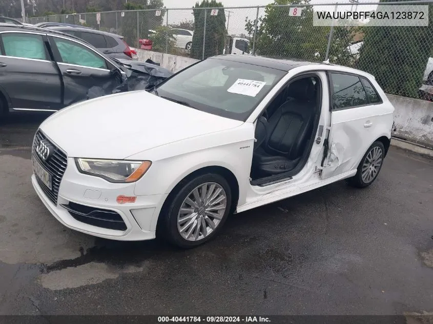 2016 Audi A3 E-Tron 1.4T Premium VIN: WAUUPBFF4GA123872 Lot: 40441784