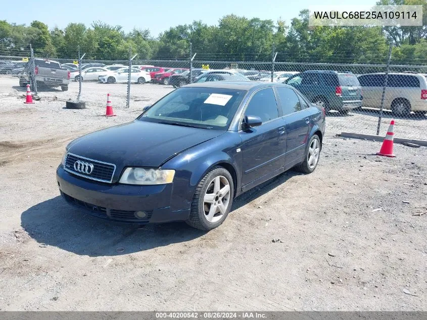 2005 Audi A4 1.8T Special Edition VIN: WAULC68E25A109114 Lot: 40200542