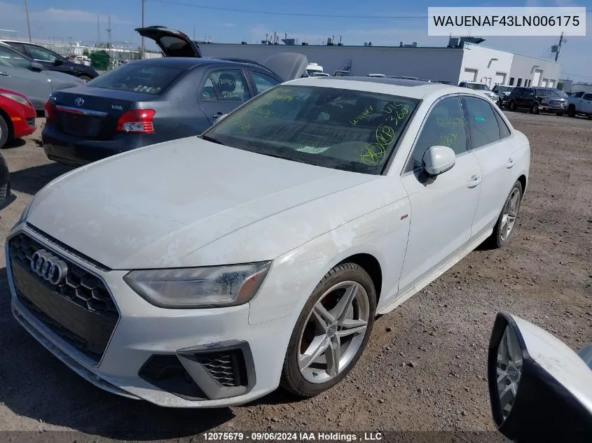 2020 Audi A4 Sedan VIN: WAUENAF43LN006175 Lot: 12075679