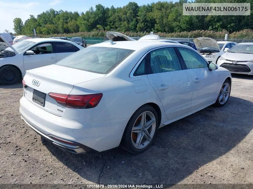 2020 Audi A4 Sedan VIN: WAUENAF43LN006175 Lot: 12075679