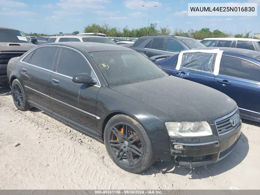 2005 Audi A8 L L 4.2 (A6) VIN: WAUML44E25N016830 Lot: 40351156