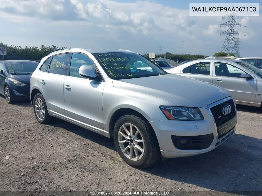 2010 Audi Q5 Premium Plus VIN: WA1LKCFP9AA067103 Lot: 12081867