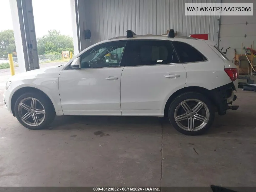 2010 Audi Q5 3.2 Premium VIN: WA1WKAFP1AA075066 Lot: 40123032