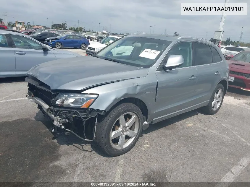 2010 Audi Q5 3.2 Premium VIN: WA1LKAFP1AA019101 Lot: 40392391