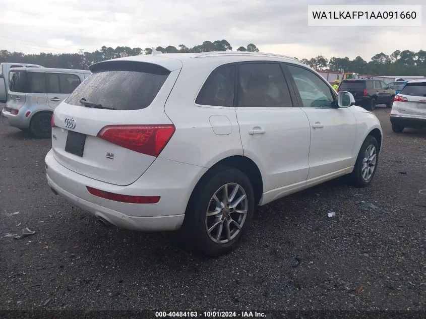 2010 Audi Q5 3.2 Premium VIN: WA1LKAFP1AA091660 Lot: 40484163