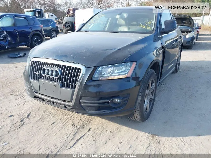 2011 Audi Q5 VIN: WA1LFCFP5BA023802 Lot: 12137384