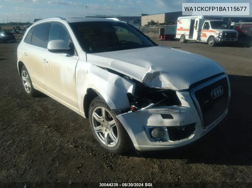 WA1CKCFP1BA115677 2011 Audi Q5 Premium