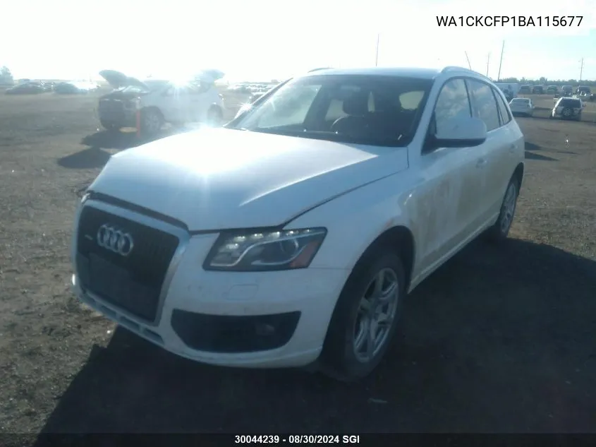 WA1CKCFP1BA115677 2011 Audi Q5 Premium