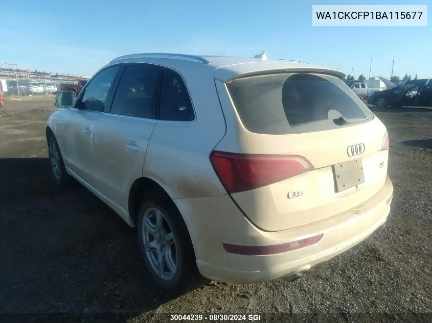 2011 Audi Q5 Premium VIN: WA1CKCFP1BA115677 Lot: 30044239