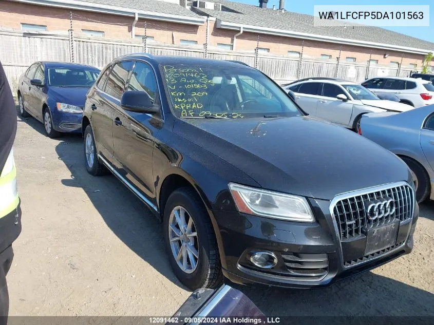 2013 Audi Q5 VIN: WA1LFCFP5DA101563 Lot: 12091462