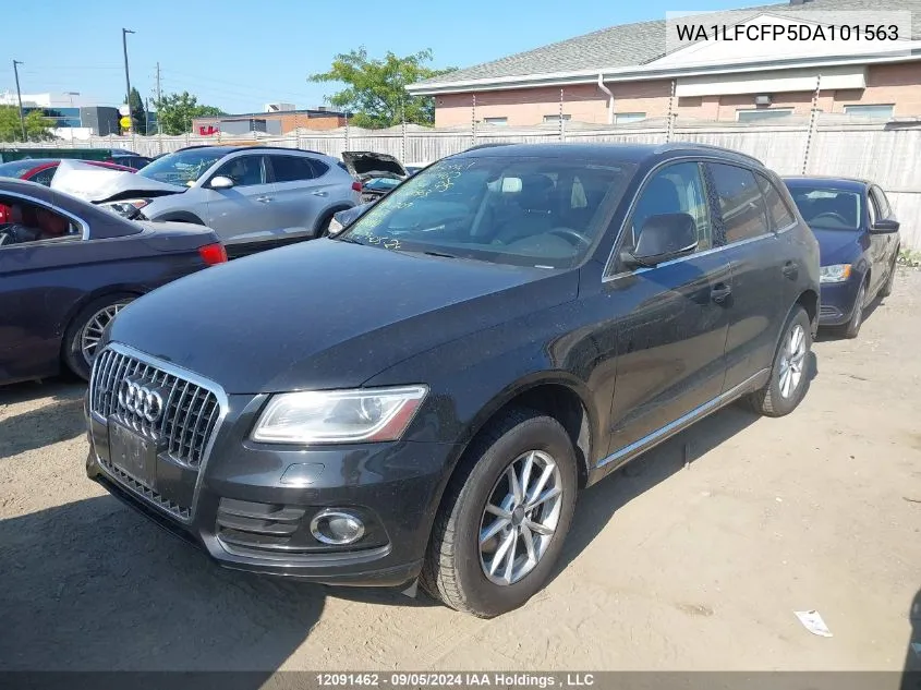 2013 Audi Q5 VIN: WA1LFCFP5DA101563 Lot: 12091462