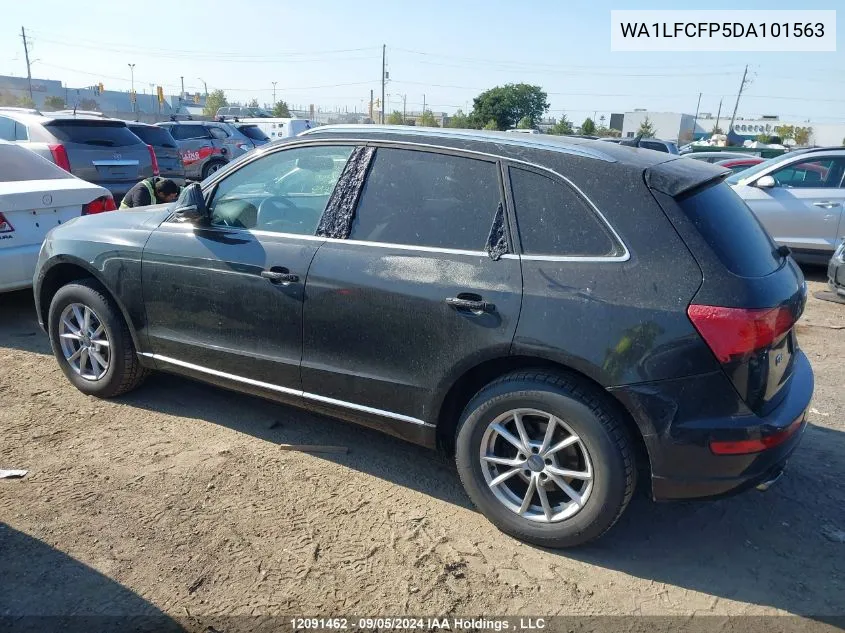 2013 Audi Q5 VIN: WA1LFCFP5DA101563 Lot: 12091462