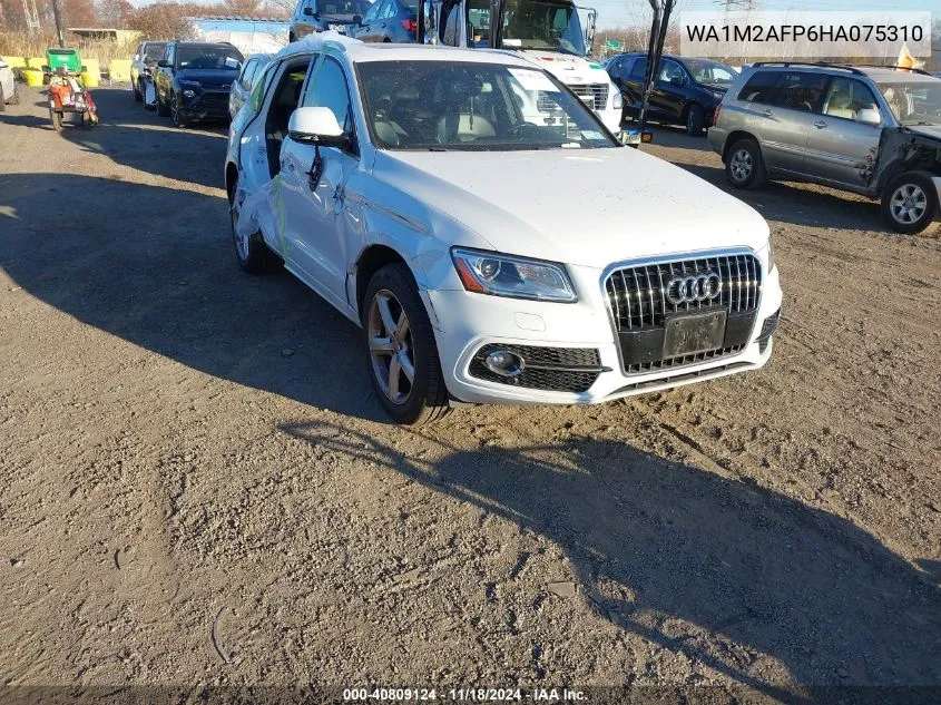 2017 Audi Q5 2.0T Premium VIN: WA1M2AFP6HA075310 Lot: 40809124