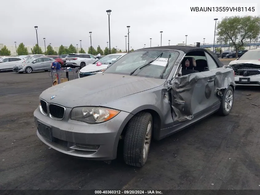 2009 BMW 128I VIN: WBAUN13559VH81145 Lot: 40360312