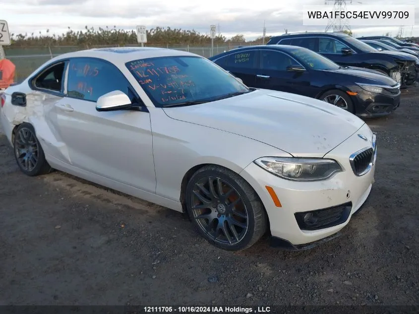 2014 BMW 2 Series VIN: WBA1F5C54EVV99709 Lot: 12111705