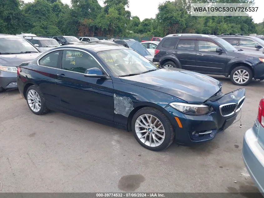 2016 BMW 228I xDrive VIN: WBA1G9C53GV726537 Lot: 39774532