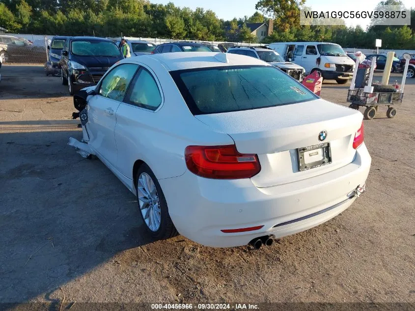 WBA1G9C56GV598875 2016 BMW 228I xDrive