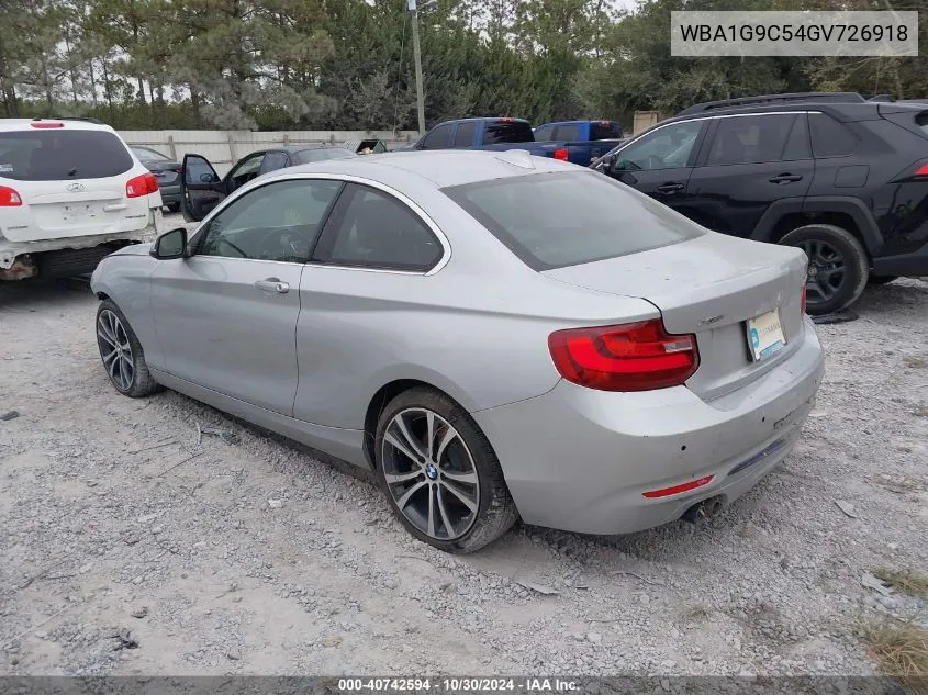 2016 BMW 228I xDrive VIN: WBA1G9C54GV726918 Lot: 40742594