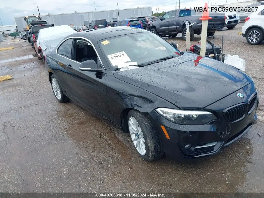 2016 BMW 228I VIN: WBA1F9C59GV546207 Lot: 40763318