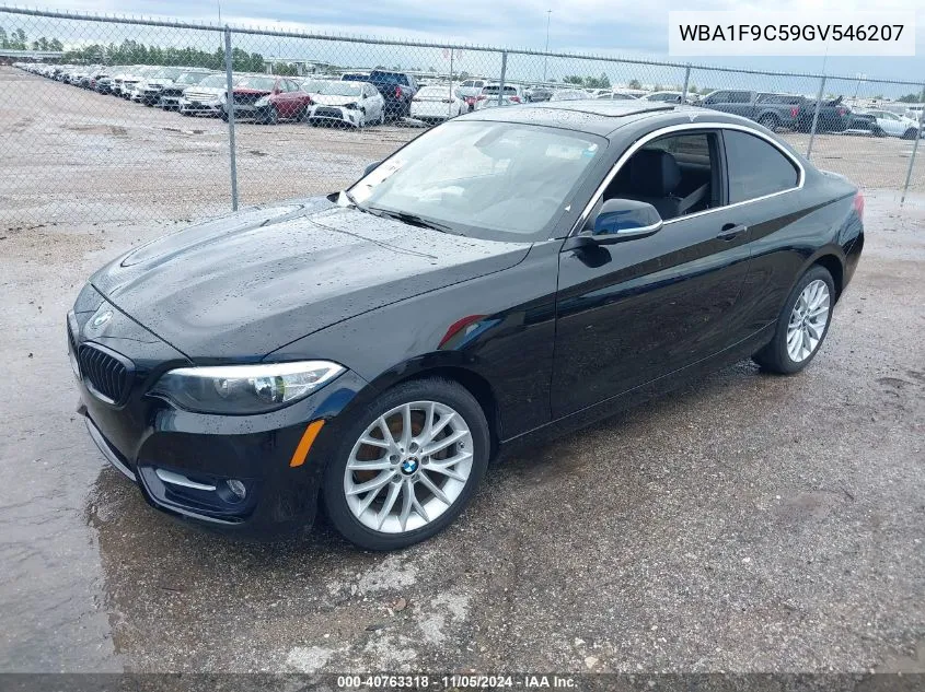 2016 BMW 228I VIN: WBA1F9C59GV546207 Lot: 40763318