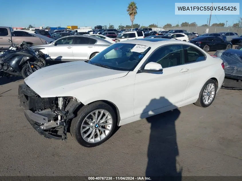 2016 BMW 228 VIN: WBA1F9C55GV545426 Lot: 40767238