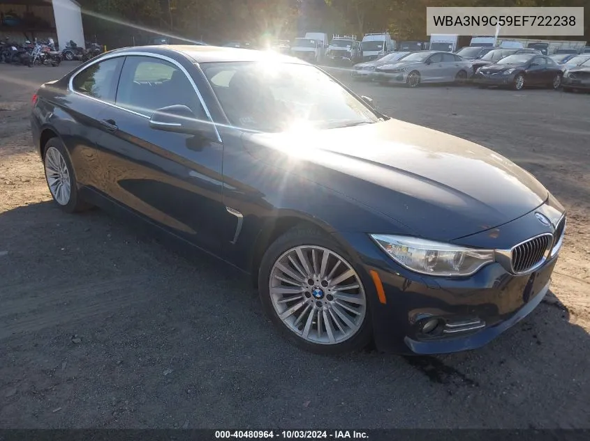 2014 BMW 428I xDrive VIN: WBA3N9C59EF722238 Lot: 40480964