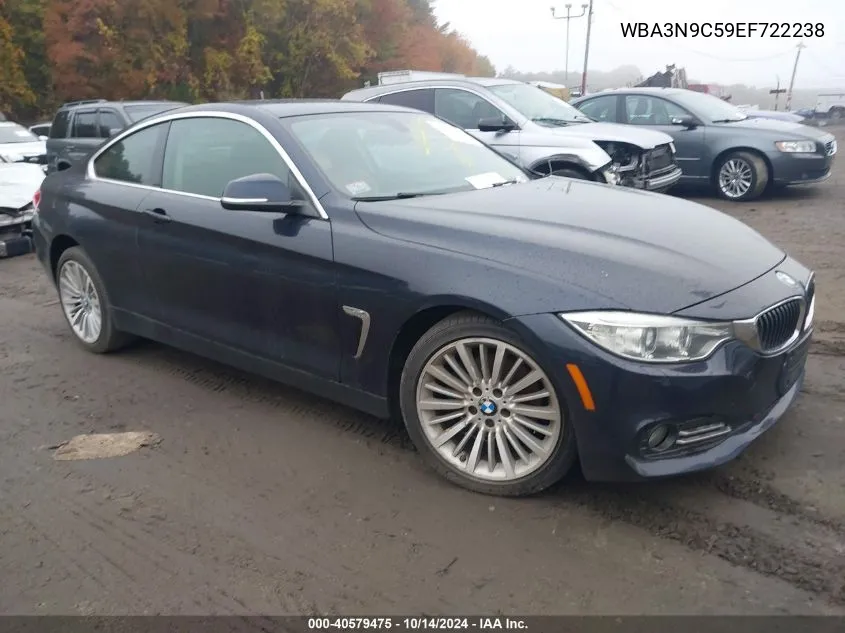 2014 BMW 428I xDrive VIN: WBA3N9C59EF722238 Lot: 40579475