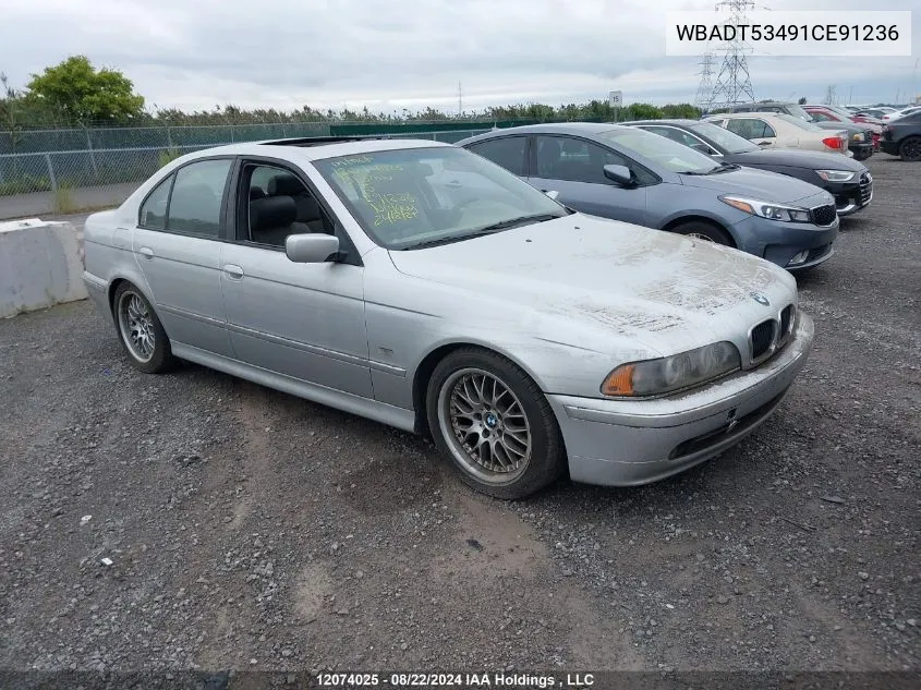 2001 BMW 5 Series VIN: WBADT53491CE91236 Lot: 12074025